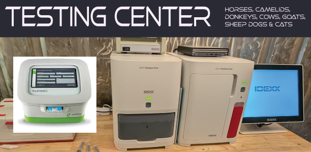 animal_testing_Center2